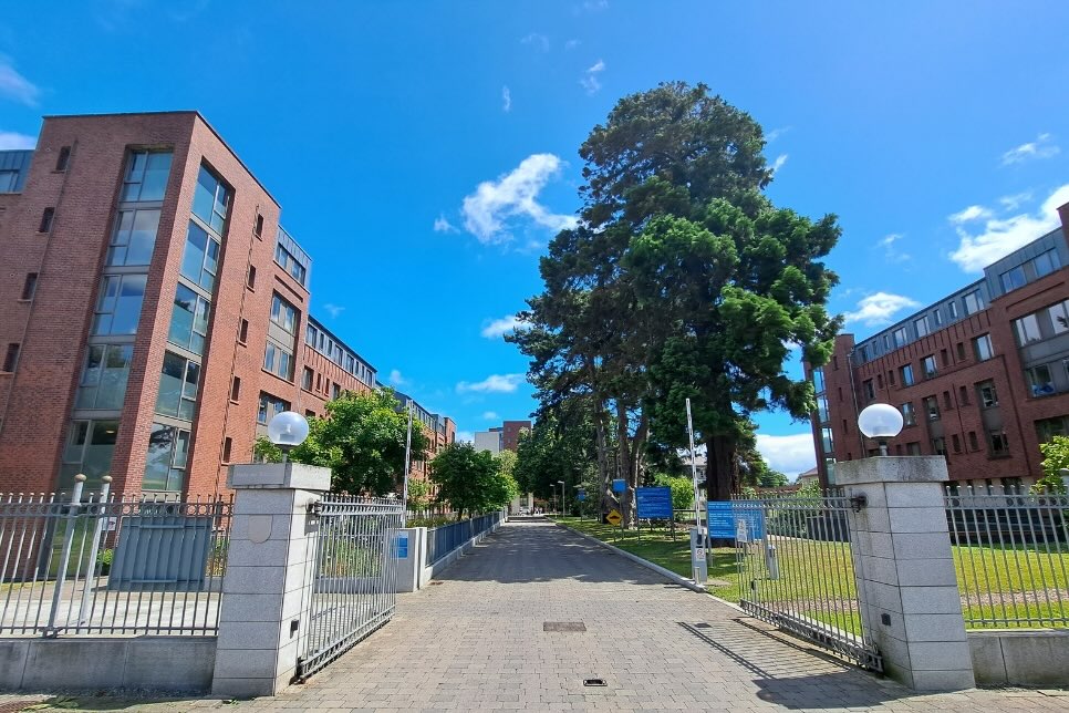 QE New Website - general images (966 x 644 px) - 4