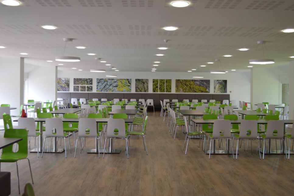 UKLC - St Swithun's School